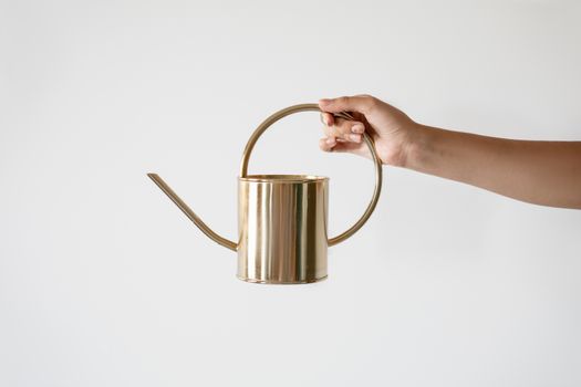Zalivalka iz brušene medenine